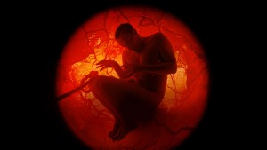 Xem Phim Cả một đời người với Jamie Demetriou