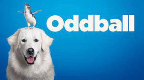 Xem Phim Chú Chó OddBall