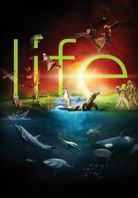 Phim Cuộc Sống Hoang Dã - BBC: Life (2009) Phim Cuộc Sống Hoang Dã - BBC: Life (2009)