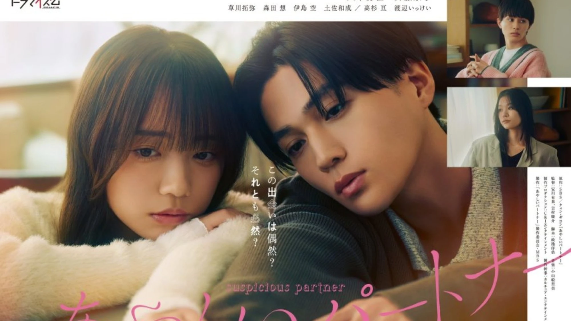 Phim Đối Tác Đáng Ngờ (Bản Nhật) - Ayashii Partner (Japanese Ver.) (2025)