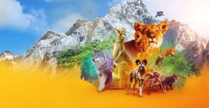 Phim Động vật (Phần 1) - Animal (Season 1) (2021) Phim Động vật (Phần 1) - Animal (Season 1) (2021)