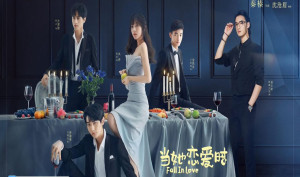 Phim Khi Cô Ấy Yêu - Fall in Love (2019) Phim Khi Cô Ấy Yêu - Fall in Love (2019)