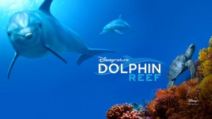 Phim Rạn San Hô Cá Heo - Dolphin Reef (2018) Phim Rạn San Hô Cá Heo - Dolphin Reef (2018)