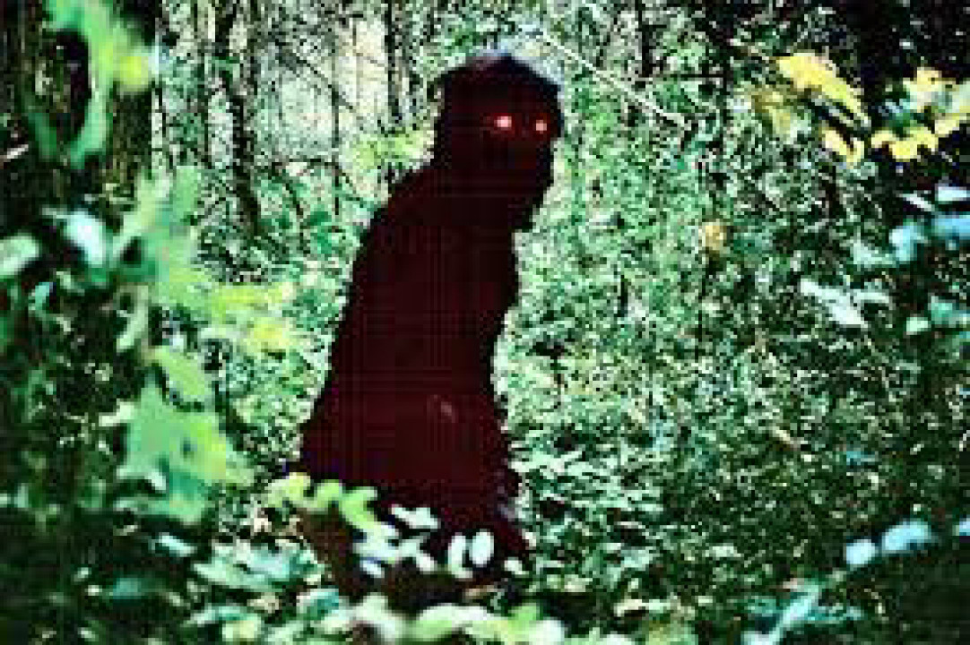 Phim Uncle Boonmee Who Can Recall His Past Lives - Uncle Boonmee Who Can Recall His Past Lives (2010) Phim Uncle Boonmee Who Can Recall His Past Lives - Uncle Boonmee Who Can Recall His Past Lives (2010)